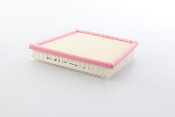 BSG Filtre à air BSG 15-135-039 BSG 15-135-039 Filtre d'air MINI Cabriolet BSG