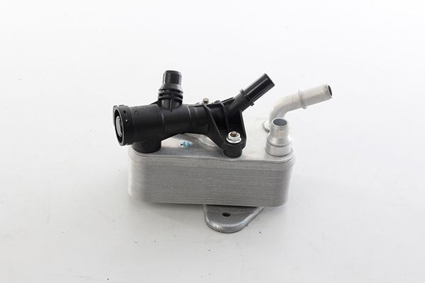 BSG Ölkühler, Automatikgetriebe BSG 15-507-010 BSG 15-507-010 Getriebeölkühler TESLA MODEL S BSG kaufen
