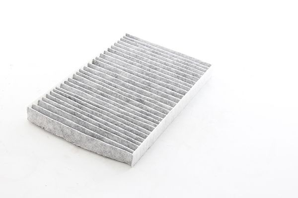 BSG Filter, salongiõhk BSG 25-145-019 Salongi õhufilter BSG Jaguar XJ BSG 25-145-019