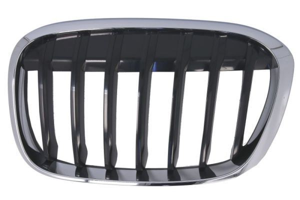Radiator grill BLIC 6502-07-0082993P BLIC 6502-07-0082993P: Voor-grill BMW X1 2025