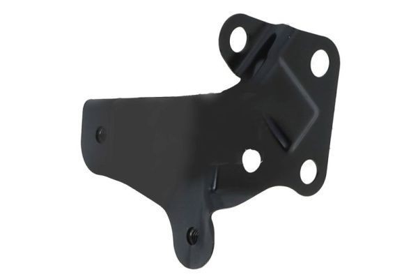Suspensão, suporte do guarda-lamas BLIC 6504-02-8122411P BLIC 6504-02-8122411P: Guarda-lamas Lexus IS 2005