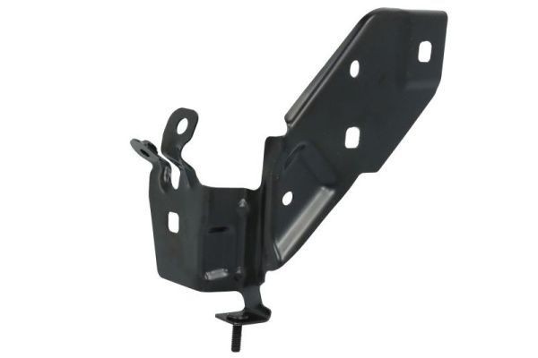Suspensão, suporte do guarda-lamas BLIC 7802-03-6034383P BLIC 7802-03-6034383P Guarda-lamas RENAULT CAPTUR 2016