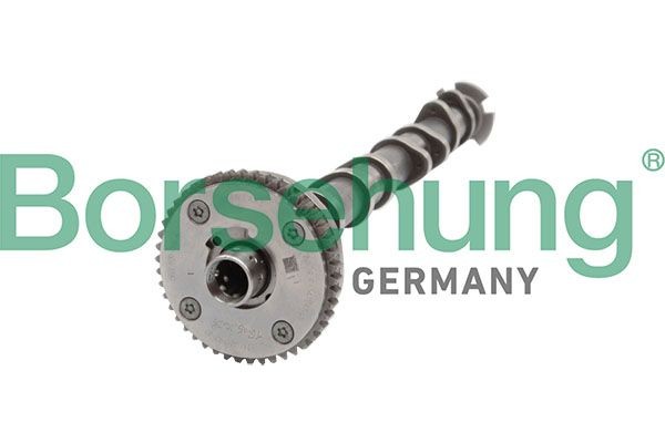 Knastaksel Borsehung B11319 Borsehung B11319 Knastaksel udstødning AUDI A3 2020