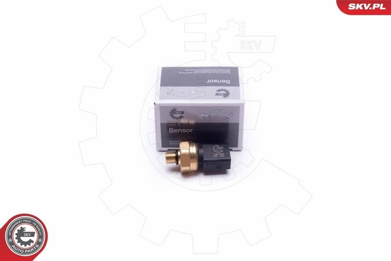 ESEN SKV Fuel pressure sensor 17SKV624 ESEN SKV 17SKV624 genuine VW Passat 3bg Saloon fuel pressure sensor price