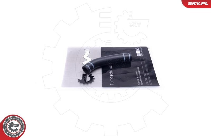 ESEN SKV Olieleiding, turbolader 54SKV200 Ford TRANSIT CUSTOM Olieleiding turbo ESEN SKV 54SKV200