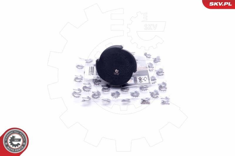 ESEN SKV Expansion tank cap 61SKV003 ESEN SKV 61SKV003 Land Rover Freelander 1 expansion tank cap replacement