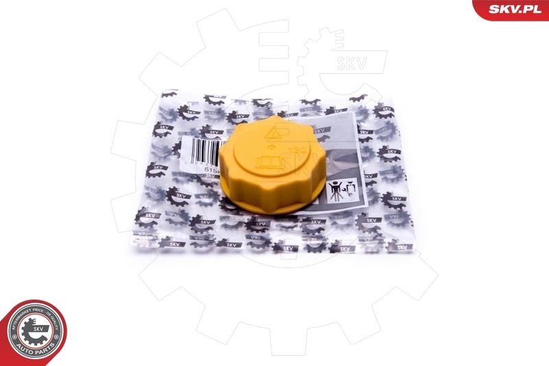 ESEN SKV Τάπα κλεισίματος, δοχείο ψυκτικού υγρού 61SKV007 τιμες Τάπα κλεισίματος δοχείο ψυκτικού υγρού Ford RB_ 61SKV007 ESEN SKV