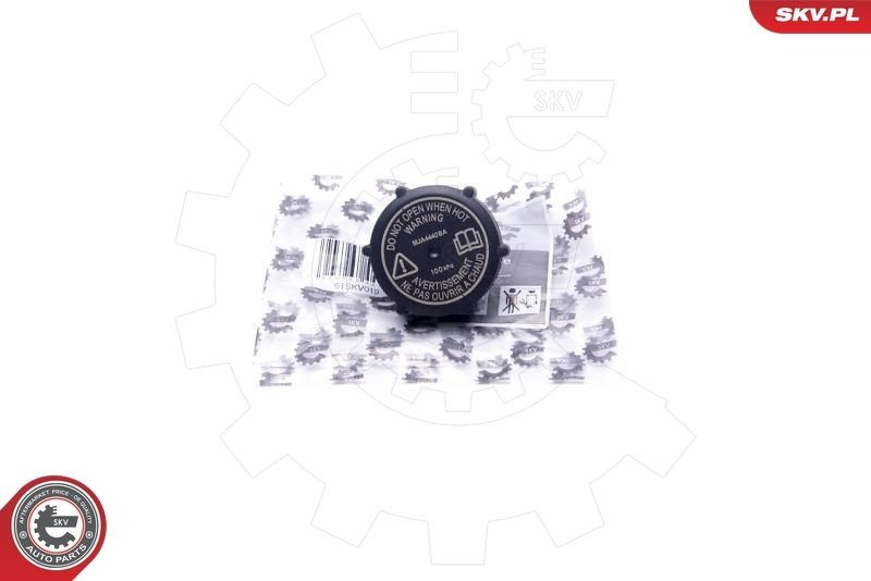 ESEN SKV Tappo, serbatoio refrigerante 61SKV019 61SKV019 Tappo vaschetta radiatore ESEN SKV FORD ESCORT costo