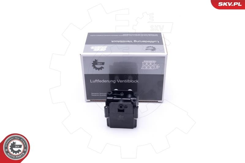 ESEN SKV Ventil, kompressorsystem 93SKV813 ESEN SKV 93SKV813 Ventil, kompressorsystem