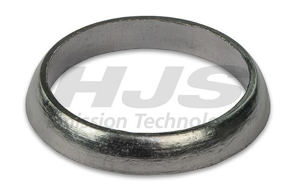 HJS Dichtring, Abgasrohr 83 13 2805 HJS 83 13 2805 Auspuffdichtung VW PASSAT Kosten