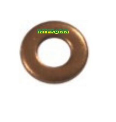 INTFRADIS Pakning, dyseholder 10160BL INTFRADIS 10160BL Renault Koleos 1 Tætningsring dyseholder pris