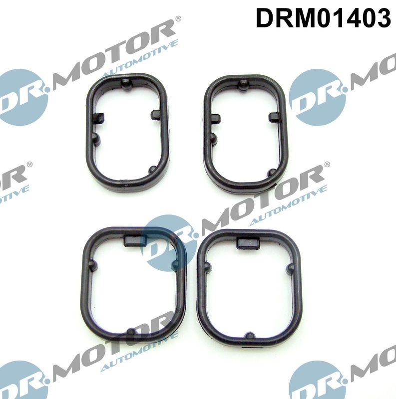 DR.MOTOR AUTOMOTIVE Pakningssæt, oliekøler DRM01403 DRM01403 DR.MOTOR AUTOMOTIVE Tætningsring oliekøler Seat billig