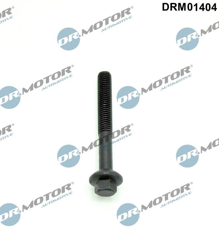 DR.MOTOR AUTOMOTIVE Schroef, inspuitstukhouder DRM01404 DR.MOTOR AUTOMOTIVE DRM01404 Brandplaatjes, injectiesysteem Renault Vel Satis BJ originele prijs