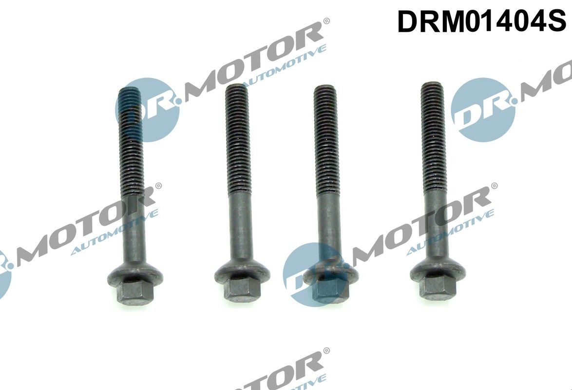 DR.MOTOR AUTOMOTIVE Skrue, indsprøjtningsdyseholder DRM01404S DR.MOTOR AUTOMOTIVE DRM01404S Range Rover Sport L320 Varmebeskyttelsesskive, indsprøjtningasanlæg pris