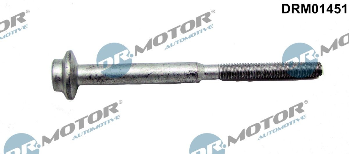 DR.MOTOR AUTOMOTIVE Schroef, inspuitstukhouder DRM01451 Volkswagen VENTO Brandplaatjes, injectiesysteem DR.MOTOR AUTOMOTIVE DRM01451