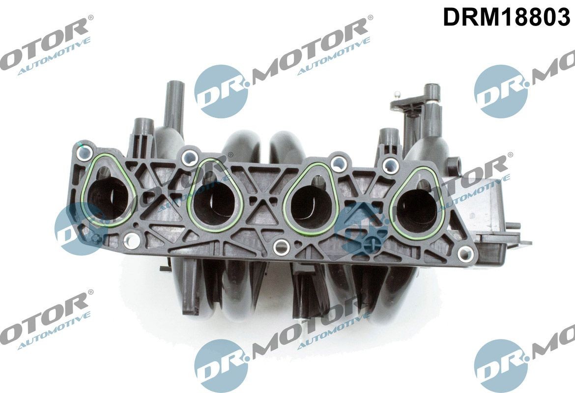 Collettore di aspirazione DR.MOTOR AUTOMOTIVE DRM18803 DR.MOTOR AUTOMOTIVE DRM18803 Collettore di aspirazione RENAULT KANGOO 2011