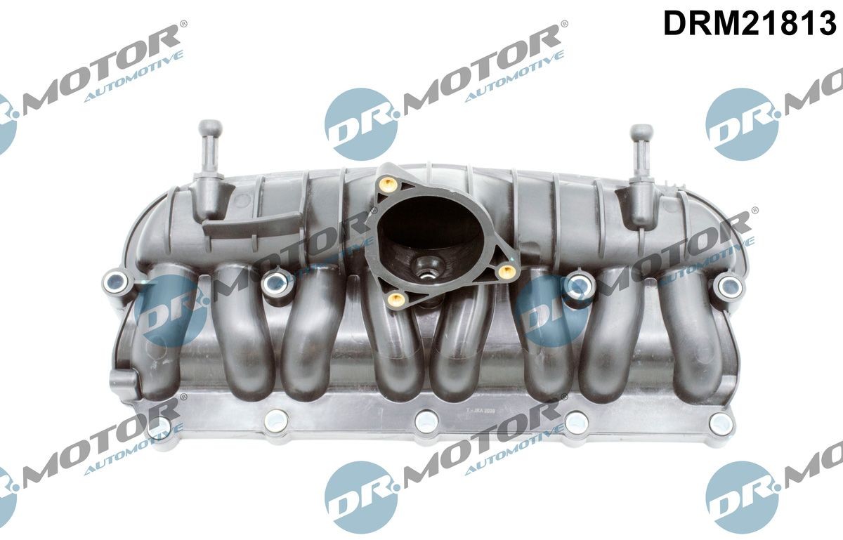 DR.MOTOR AUTOMOTIVE Módulo do colector de admissão DRM21813 DR.MOTOR AUTOMOTIVE DRM21813 Módulo do colector de admissão VW Golf 5 preço