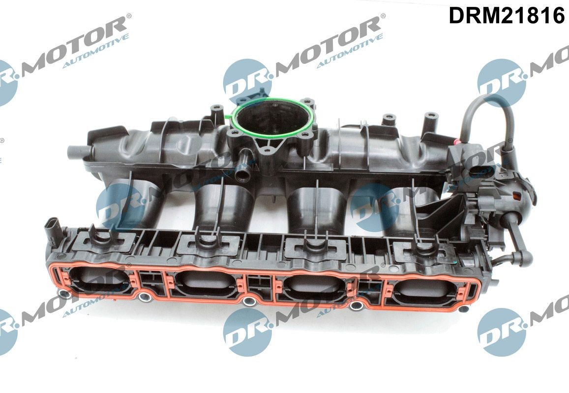 DR.MOTOR AUTOMOTIVE Πολλαπλή εισαγωγής DRM21816 Πολλαπλή εισαγωγής DR.MOTOR AUTOMOTIVE LEON DRM21816 φθηνά
