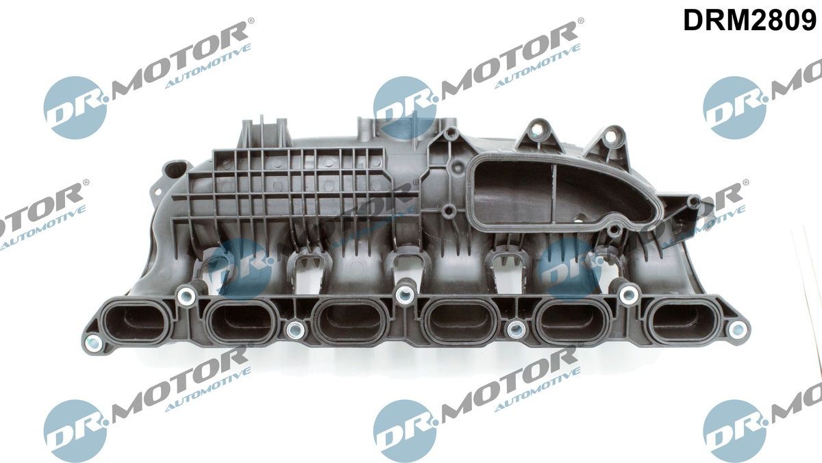 DR.MOTOR AUTOMOTIVE Innsugsmanifold DRM2809 Innsugsmanifold DR.MOTOR AUTOMOTIVE BMW X6 DRM2809