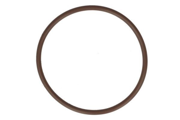 ENGITECH Dekorring ENT410102 ENGITECH ENT410102 Tandempomp Renault MODUS / GRAND MODUS originele