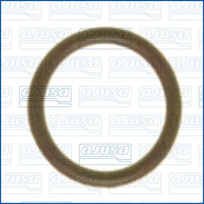 AJUSA Bague d'étanchéité, conduite de réfrigérant 16076800 16076800 Joint d'étanchéité conduit de climatisation FORD FOCUS AJUSA