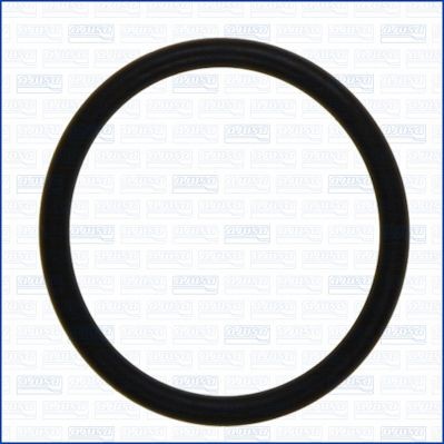 Seal, fuel filter AJUSA 16080700 AJUSA 16080700 Fuel filter Jeep CHEROKEE 2002