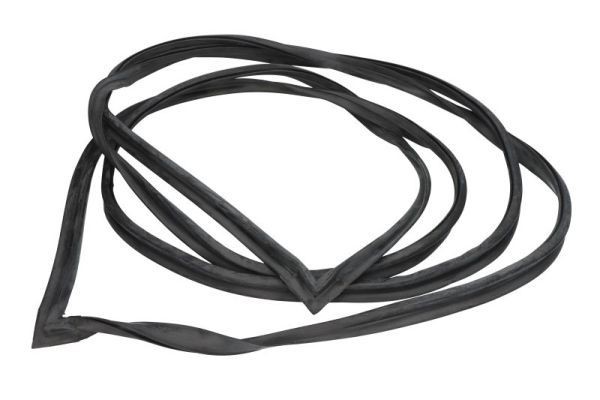BLIC Guarnizione, Parabrezza 5703-04-9562100P 5703-04-9562100P BLIC Guarnizione vetro BMW prezzo