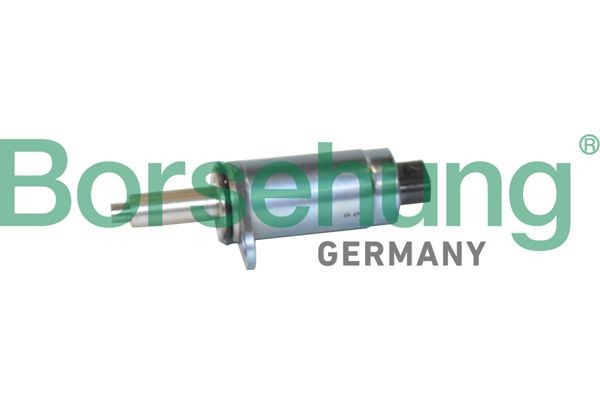 Borsehung VVT-ventil B12244 B12244 Borsehung vvt-ventil VOLVO S60