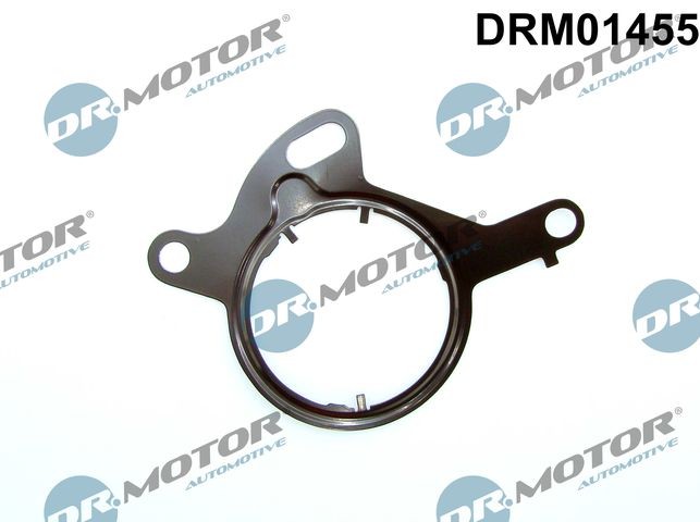 DR.MOTOR AUTOMOTIVE Tetning, vakuumpumpe DRM01455 DR.MOTOR AUTOMOTIVE DRM01455 Vakuumpumpe for bremsekraftforsterker Skoda FELICIA originale