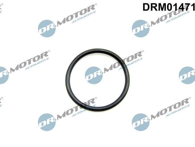 DR.MOTOR AUTOMOTIVE Anello tenuta, Tubo gas scarico DRM01471 DR.MOTOR AUTOMOTIVE DRM01471 Guarnizione scarico Ford Focus mk2 Sedan prezzo