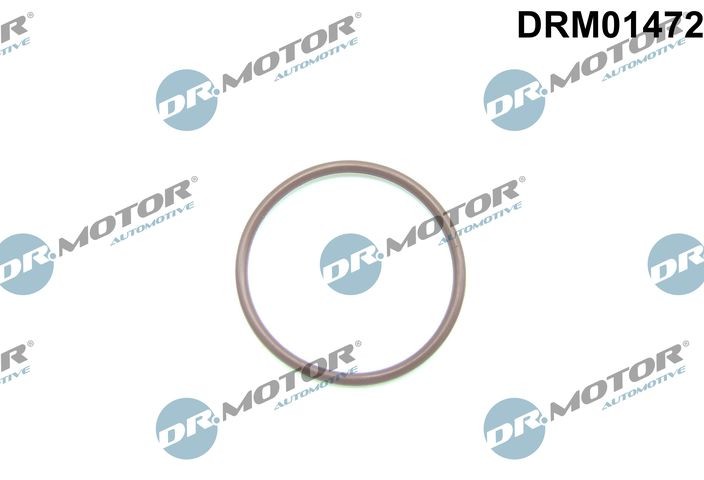 DR.MOTOR AUTOMOTIVE Φλάντζα, αντλία καυσίμου DRM01472 DRM01472 Φλάντζα, αντλία καυσίμου FIAT PANDA DR.MOTOR AUTOMOTIVE