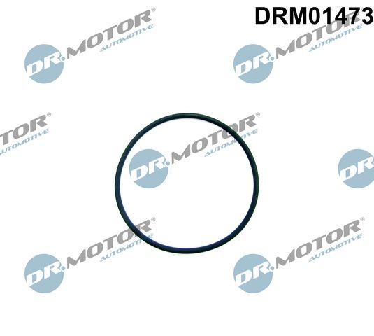 DR.MOTOR AUTOMOTIVE Dichtring DRM01473 Dichtung, Kraftstoffpumpe DR.MOTOR AUTOMOTIVE XF DRM01473 günstig