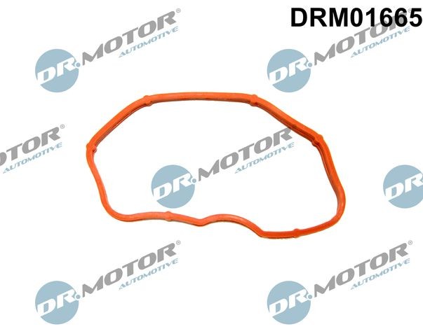 DR.MOTOR AUTOMOTIVE Insugspackning DRM01665 DRM01665 DR.MOTOR AUTOMOTIVE packning insug grenrörshus AUDI Q3