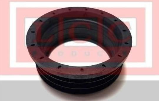 LCC Dichtring, laadluchtslang TR1381 TR1381 Dichtring, laadluchtslang CITROËN JUMPER LCC