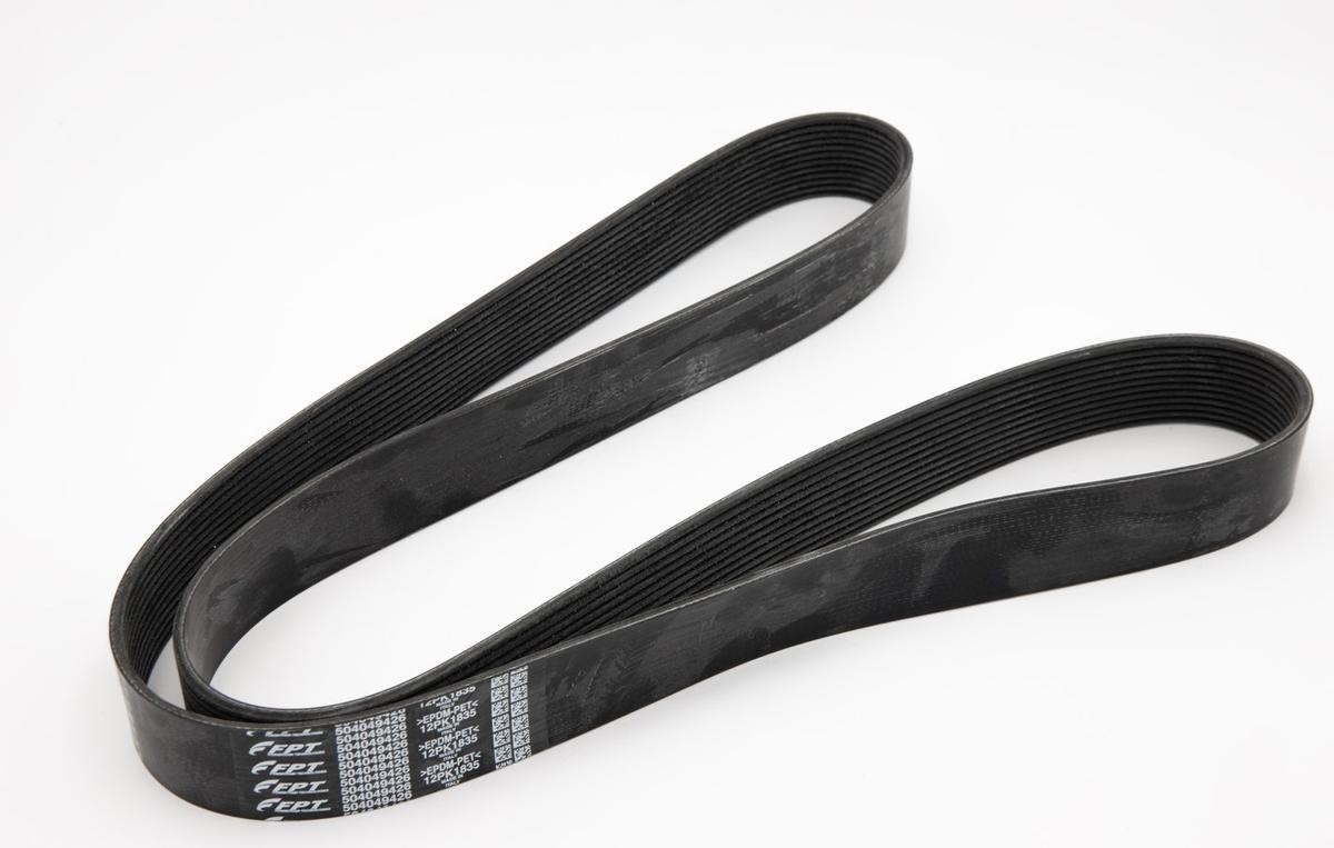 IVECO Cinghia servizi 504049426 504049426 costo Cinghia servizi SKODA OCTAVIA IVECO