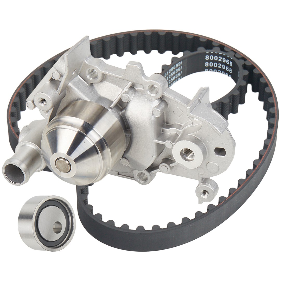 RIDEX Kit de distribution + pompe à eau 3096W0512 3096W0512 Kit courroie de distribution NISSAN QASHQAI RIDEX
