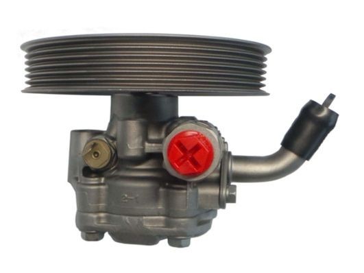 Servopumpe SPIDAN 52717 SPIDAN 52717 Styreservopumpe MITSUBISHI L 200 2015