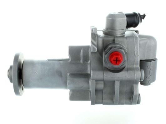 SPIDAN Servopump 52733 Byta Servopump BMW E71 kostnad SPIDAN 52733