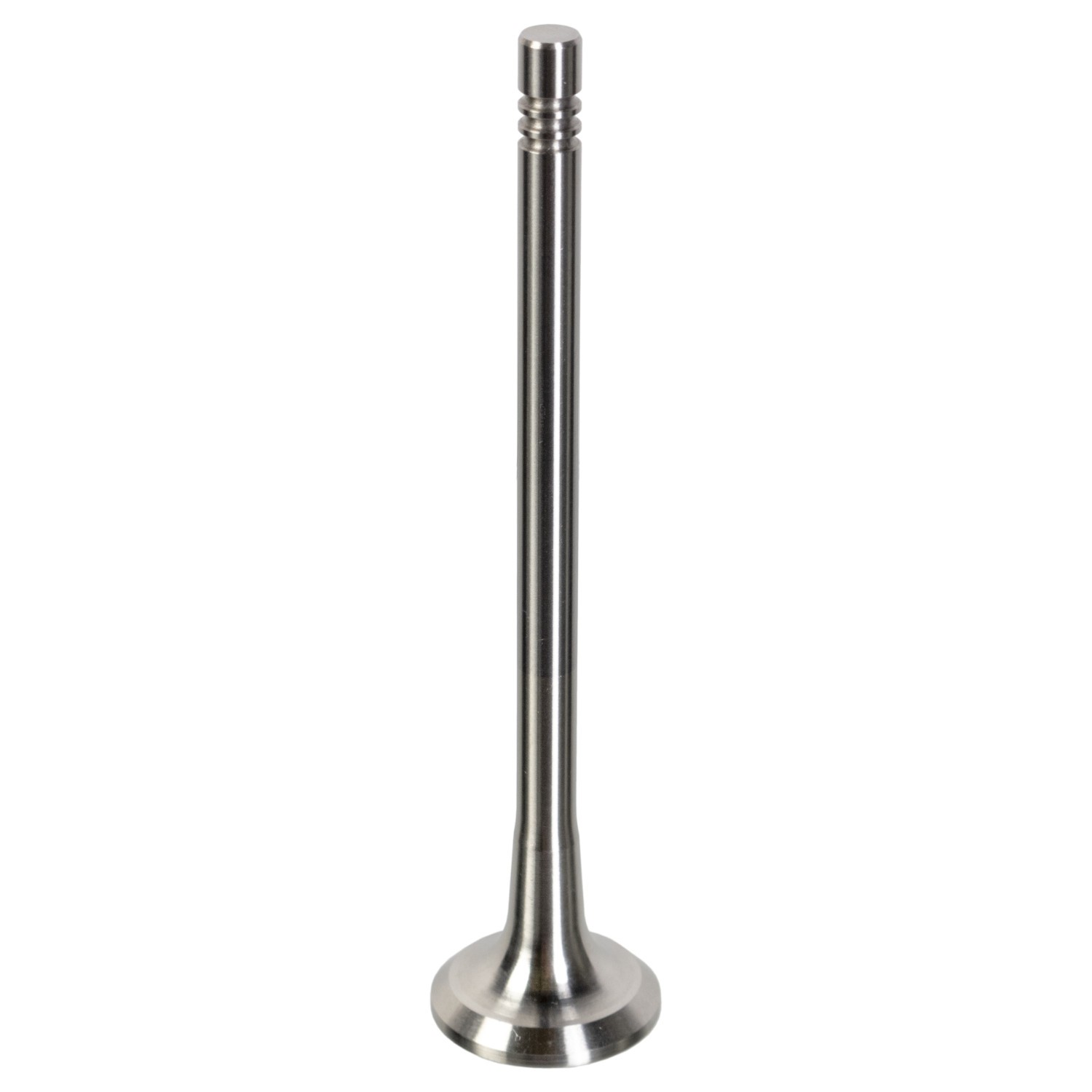 FEBI BILSTEIN Pakoventtiili 181075 BMW 8-sarja pakoventtiili FEBI BILSTEIN 181075