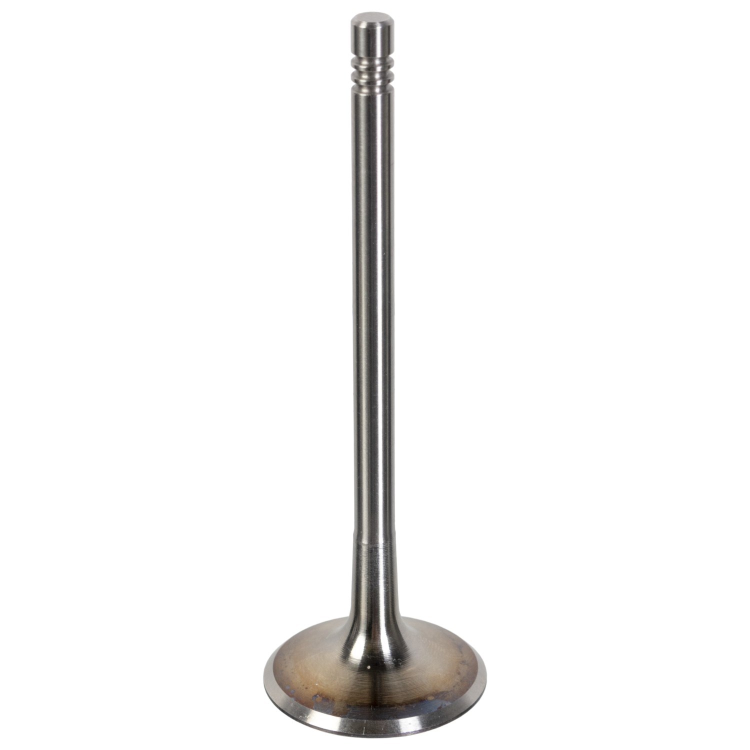 FEBI BILSTEIN Válvula de entrada 181076 Válvula de admissão FEBI BILSTEIN Nissan SILVIA 181076