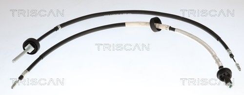 TRISCAN Handremkabel 8140 251251 8140 251251 Remkabel RENAULT 19 TRISCAN
