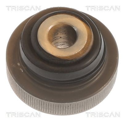 TRISCAN Piekare, Šķērssvira 8500 288003 8500 288003 Piekare šķērssvira PEUGEOT TRAVELLER TRISCAN