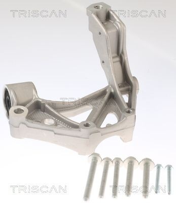 TRISCAN Lagerbukk, akselskaft 8500 295262 8500 295262 Traversforing VW TRANSPORTER TRISCAN