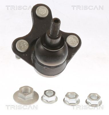 TRISCAN Zvislý / nosný čap 8500 29599 Čap ramena TRISCAN Volkswagen TOURAN 8500 29599