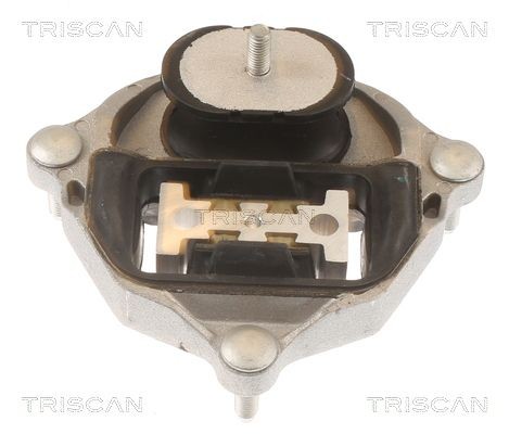 TRISCAN Ulożenie automatickej prevodovky 8505 29215 TRISCAN Silentblok prevodovky 8505 29215 recenzia