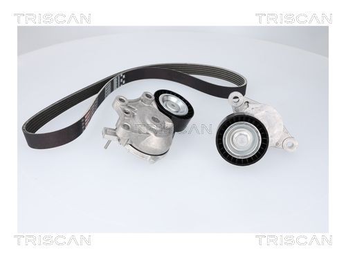 TRISCAN Kileremsett 8642 10053 Kileribberem TRISCAN Citroën C8 8642 10053
