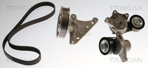 TRISCAN V-Ribbed Belt Set 8642 10056 Citroen BERLINGO TRISCAN poly v-belt kit 864210056