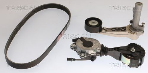 TRISCAN Kit Cinghie Poly-V 8642 10061 8642 10061 Cinghia servizi TRISCAN PEUGEOT 508 costo