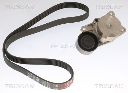 TRISCAN Jogo de correias trapezoidais estriadas 8642 10064 8642 10064 Jogo de correias trapezoidais estriadas TRISCAN LAND ROVER FREELANDER