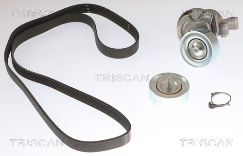 TRISCAN Ķīļrievu siksnu komplekts 8642 10069 Ķīļrievu siksnu komplekts TRISCAN Land Rover FREELANDER 8642 10069